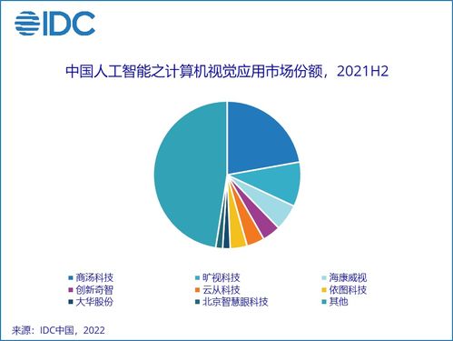 人工智能應(yīng)用軟件開發(fā) 解讀IDC 2021年中國AI軟件市場52.8億美元背后的機(jī)遇與挑戰(zhàn)